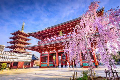 Japan's SBI Group to launch JPYSC stablecoin lending service this month - The Block