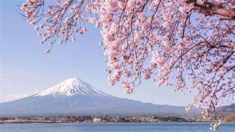 Japan stablecoin payments advance with Lawson trial, Netstars launch - TradingView